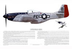 "P-51 Ace, Donald Bryan" - Ernie Boyette - World War II Aviation Art